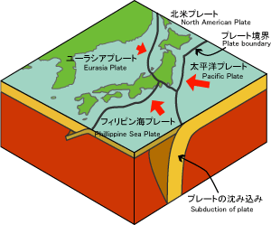 日本周辺のプレート